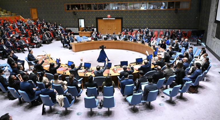 United States vetoes Gaza ceasefire resolution at Security Council | UN